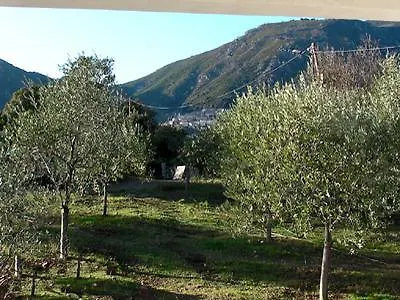 Serena * Cervione